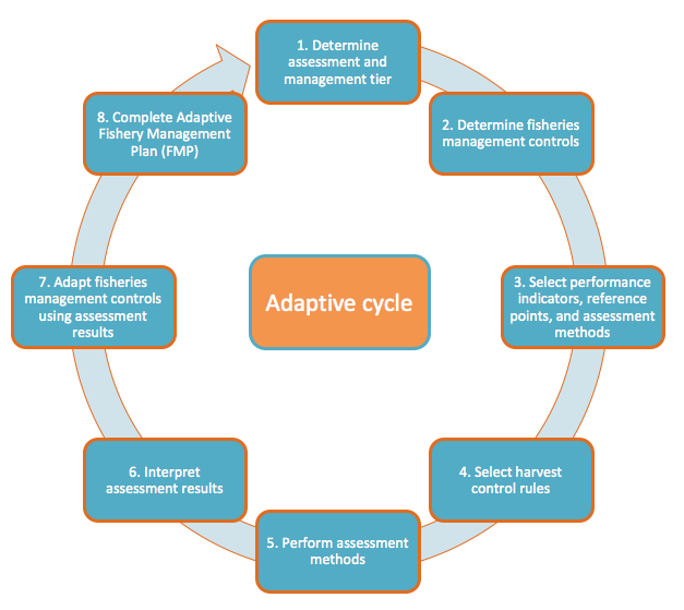 8 steps of the AFAM Toolkit